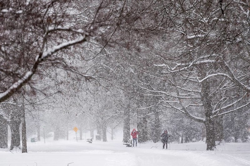 Heavy snow squalls of lake-effect snow falls over Springbank Park in London, Canada. Environment Canada predicted 25-35cm of snow would fall over the region in 24 hours in London, Ontario, Canada, North America