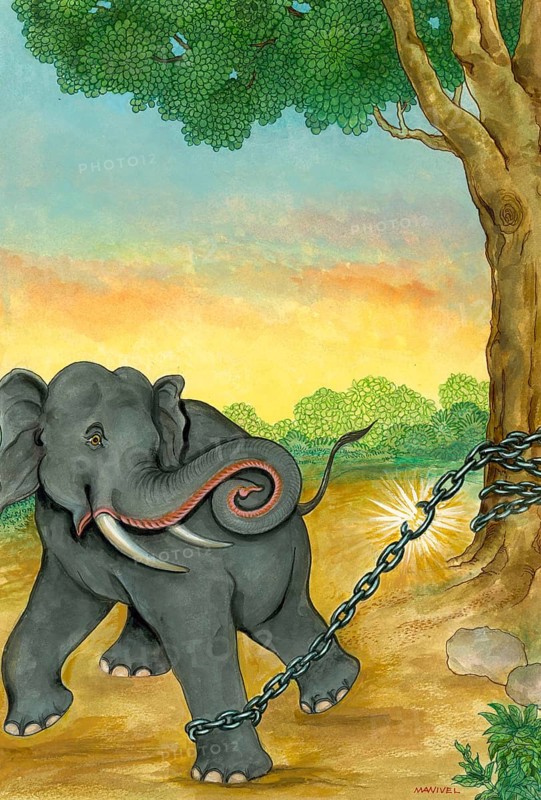 Artist Manivelu, hindu belief, hindu, hinduism, art, himalayan academy art, elephant, strength, chained elephant, break free, breaking chain, freedom, chained to a tree, link broken, moksha, liberation