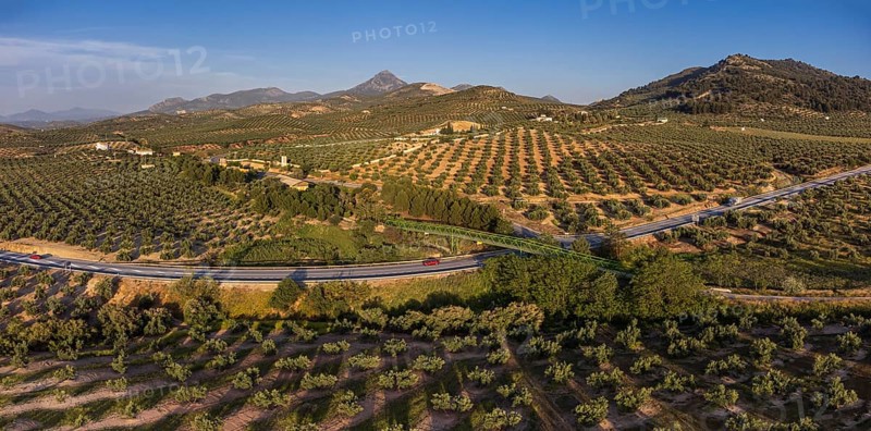 Metal bridge over the olive grove, Greenway of Oil Natural Trail, Alcaudete, Jaén province, Andalusia, Spain