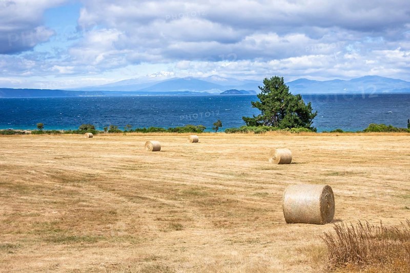 An image of lake Taupo New Zealand