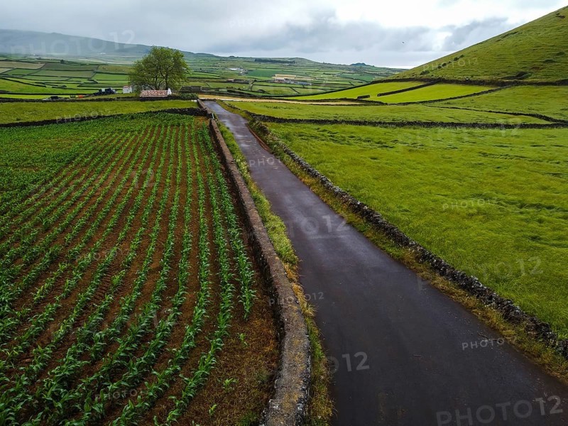 Aerial view of rural road crossing vibrant green fields parceled with stone fences. Terceira Island, Azores, Portugal