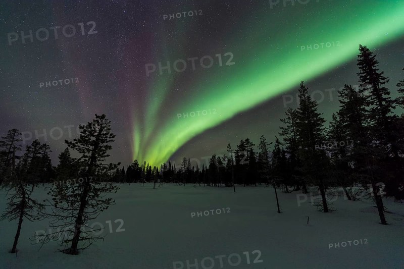 Northern Lights (Aurora borealis), Muddus National Park, Laponia World Heritage Site, Norrbotten, Lapland, Sweden, December 2016