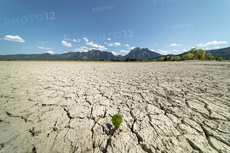 Cracked, dried out ground, waterless Forggensee in spring, behind it Tegelberg massif and Säuling, Ammergau Alps, near Füssen, Ostallgäu, Bavaria, Germany