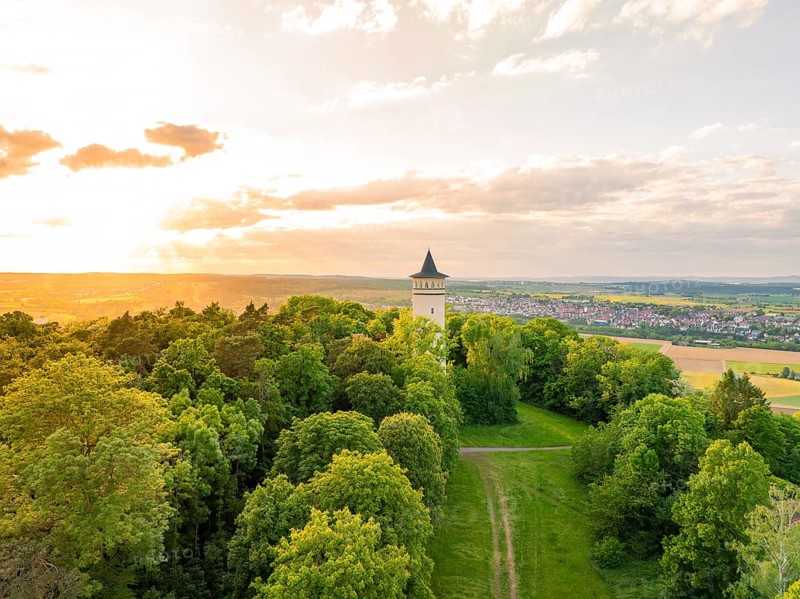 Tower at the edge of the forest, framed by trees, in the soft light of sunset, Engelbergturm, Leonberg, Germany