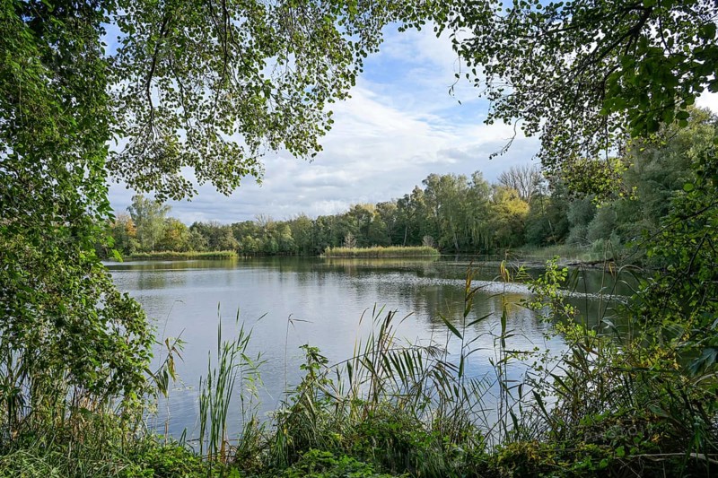 Pond, Deetzer Erdlöcher, Groß Kreutz, Brandenburg, Germany