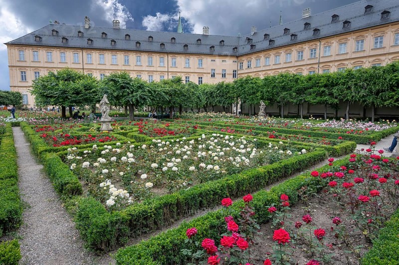 Rose Garden, behind the New Residence, Bamberg, Upper Franconia, Bavaria, Germany