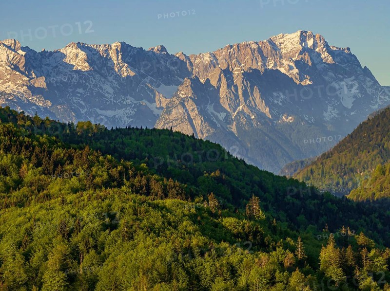 Aerial view, trees, forest, light green leaves, morning light, mountains, sunny, spring, near Murnau, Zugspitze, Wetterstein range, foothills of the Alps, Bavaria, Germany
