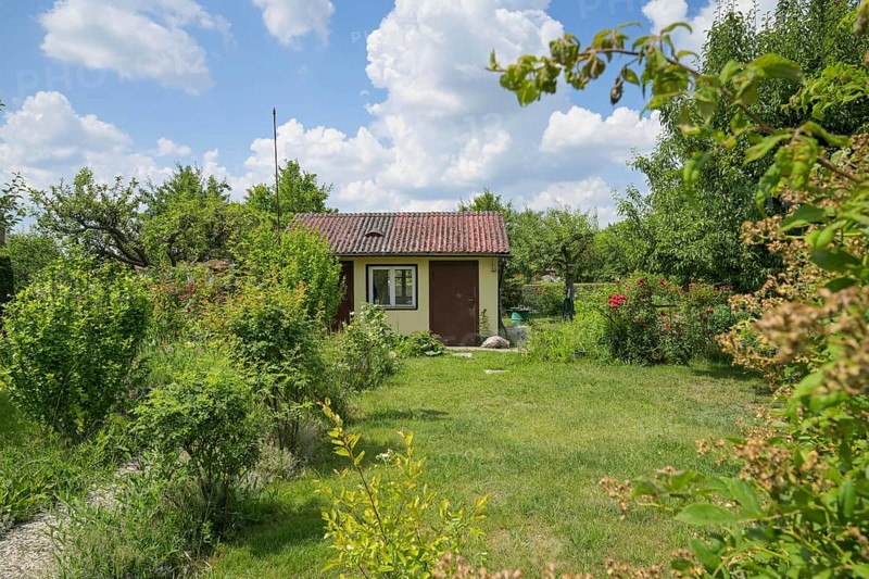 Allotment garden, colony Papestraße, Tempelhof-Schöneberg, Berlin, Germany