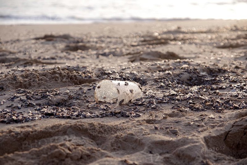 Plastic waste, pollution, Mediterranean Sea, Majorca, waste, A plastic cup washed up on the beach in Majorca