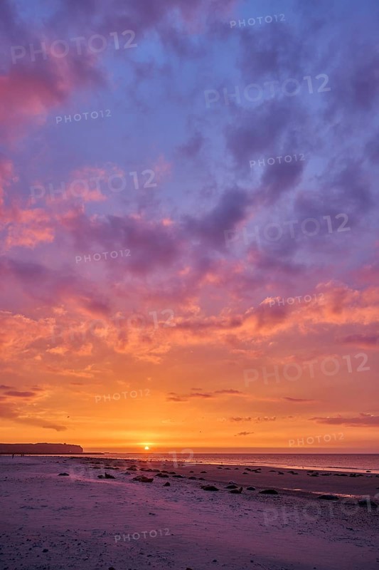 Colorful sunset on the beach with Grey seal (Halichoerus grypus) lying lying on it, Düne, Helgoland, Schleswig-Holstein, Germany