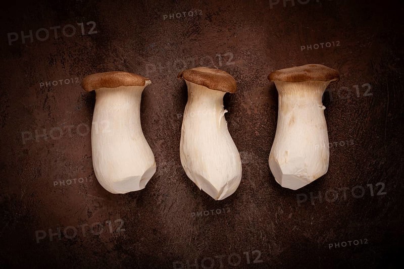 Fresh eringi mushrooms, raw, royal oyster mushrooms, three pieces, Asian cuisine, no people