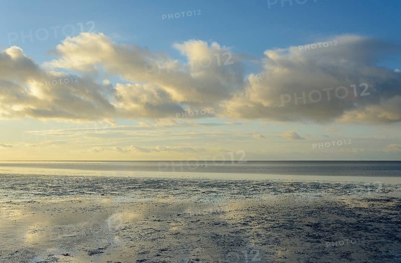 North Sea, Wadden Sea at low tide, blue sky with low clouds (cumulus), Norddeich, Lower Saxony, Germany