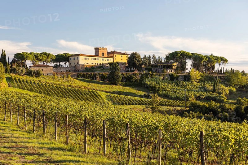 Luxury holiday home Villa Del Monte surrounded by vineyards and pine trees on a hill near San Gimignano, Province of Siena, Tuscany, Italy