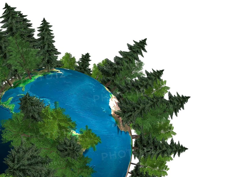 Conceptual 3D Illustration of the Earth globe covered with green trees growing out of it Green environment Ecology Rain forest Forestation concept Isolated on white
