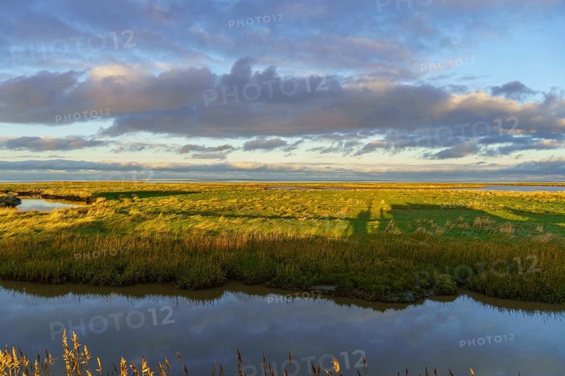 Wide green meadow with clouds and sunlight, shadow on the ground, quiet nature atmosphere, wangerooge, east frisia, germany