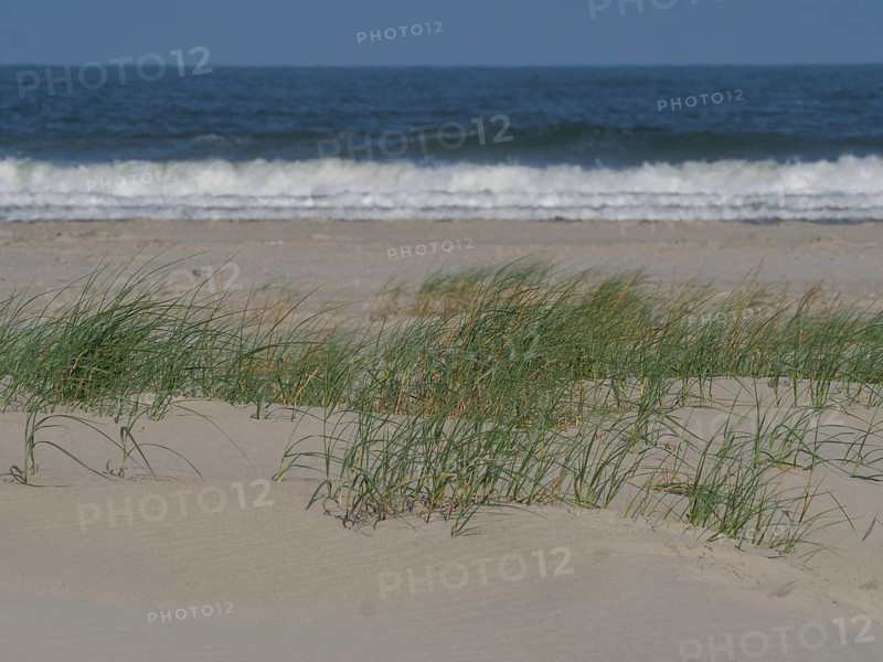 Beach with sand dunes and grass, breaking waves and blue sky in the background, juist, east frisia, germany