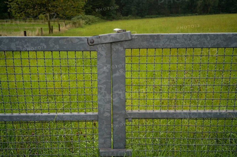 Metal gate for a paddock