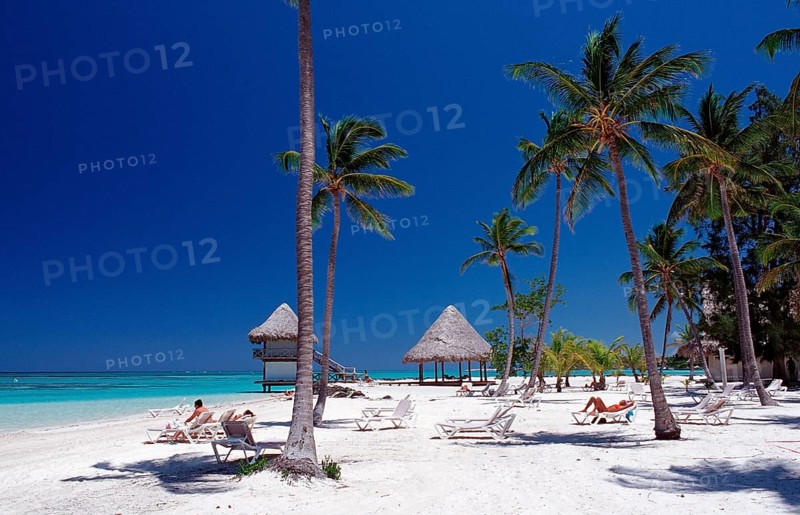 Dream beach, Punta Cana, Caribbean, Dominican Republic