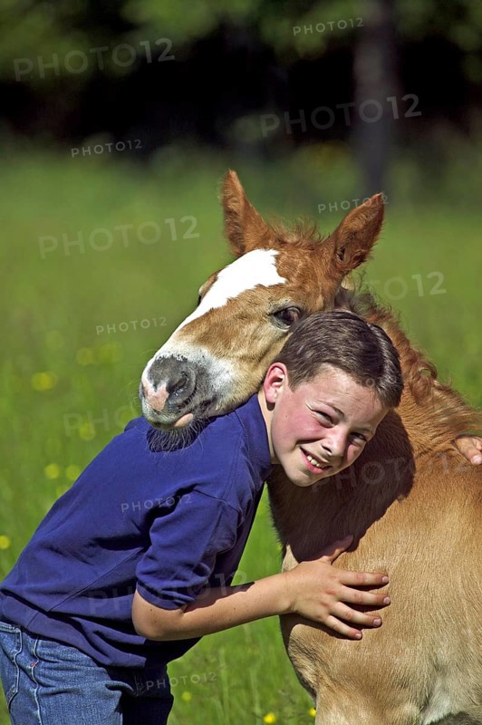 BOY WITH NORMAN COB FOAL, NORMANDY IN FRANCE