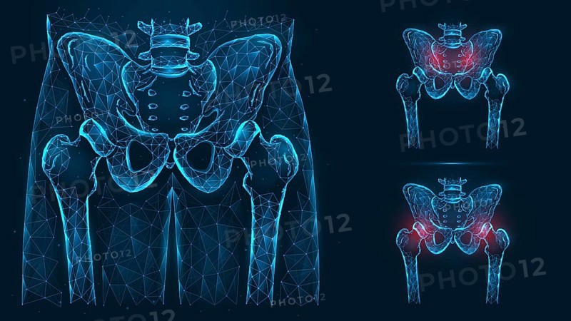Bones of the pelvis and hip, human anatomy. Pelvic and hip injuries. X ray of the hip joint made of lines and dots isolated on blue background