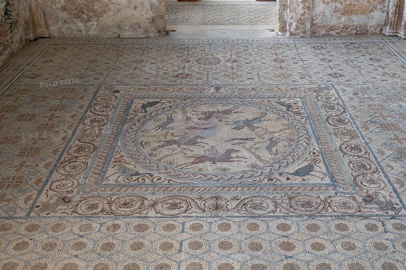 Floor mosaic, House of Fountains, Roman ruins, Conimbriga, Condeixa-a-Velha, Condeixa-a-Velha, Coimbra, Portugal