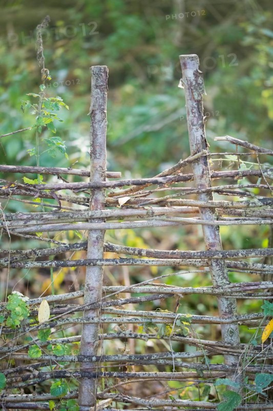 Deadwood hedge in a meadow, practical nature conservation, nesting place and foraging site for birds and insects, Lower Saxony, Germany