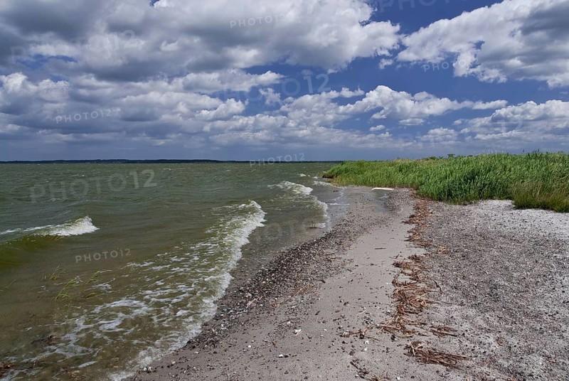On the Achterwasser on the Gnitz peninsula, Usedom Island, Germany