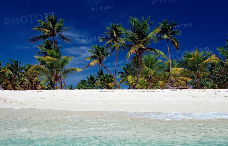 Sandy beach beach, Punta Cana, Caribbean, Dominican Republic