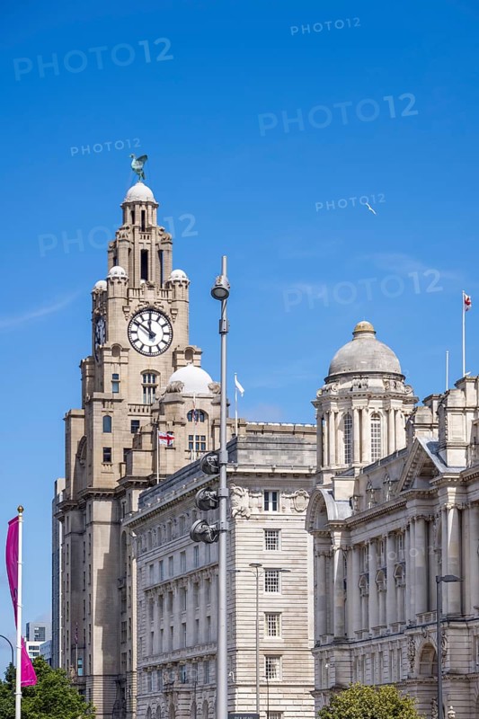 LIVERPOOL, UK - JULY 14 : The Royal Liver building with a clock tower in Liverpool, England on July 14, 2021