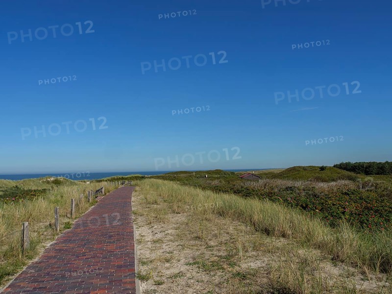 A cobbled path leads through the dune landscape with grassy vegetation under a sunny, blue sky, langeoog, germany