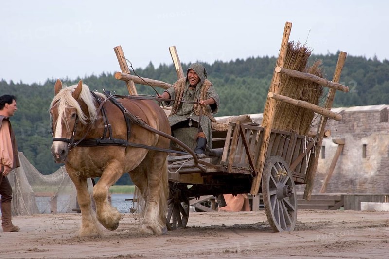 Man on horse-drawn cart, Störtebeker Festival, Ralswiek, Island of Rügen, Mecklenburg-Western Pomerania, Rügen, Germany