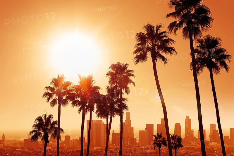 the skyline of los angeles with palm trees during sunrise