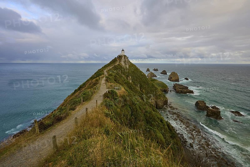 A lighthouse on narrow cliffs overlooking the sea under a cloudy sky, summer, Nugget Point lighthouse, Ahuriri Flat, Otago, South Island, New Zealand