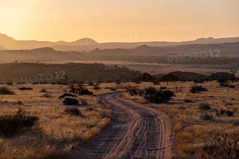 Sandy track, desert landscape in the evening light at sunset, backlit, Brandberg, Erongo, Damaraland, Namibia