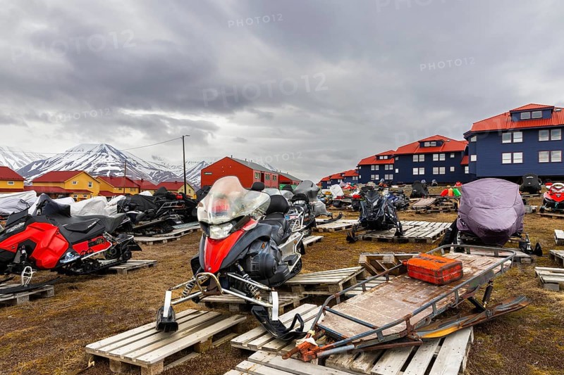Sikdoos in front of coloured wooden houses, Longyearbyen, Spitsbergen, Svalbard