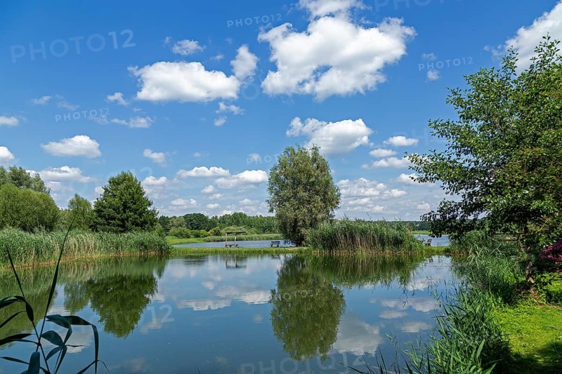 Fish ponds, Fischers Land Boek, Mecklenburg Lake District, Mecklenburg-Western Pomerania, Germany