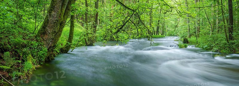 White water and rapids on the Trieb stream in the Triebtal nature reserve in Vogtland, Plauen, Saxony, Germany
