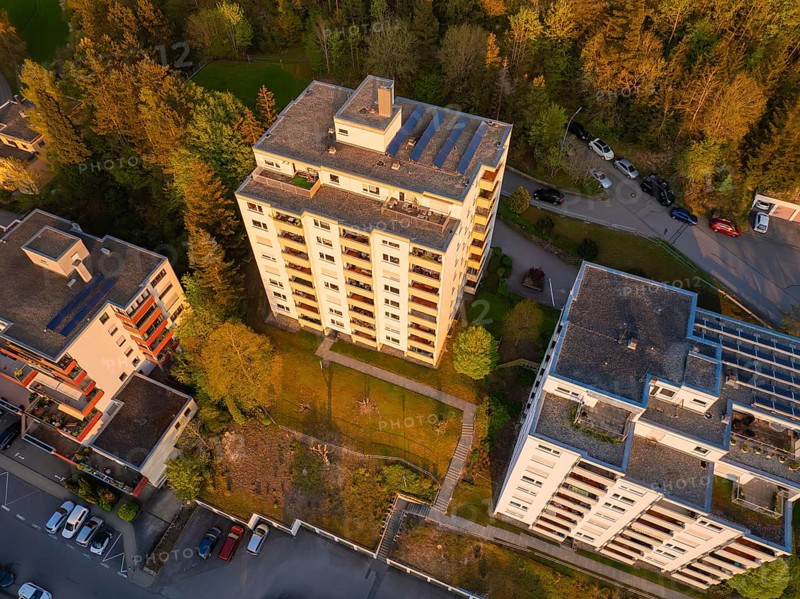 Residential complexes surrounded by trees, with cars in car parks, bathed in warm evening light, Nagold, Black Forest, Germany