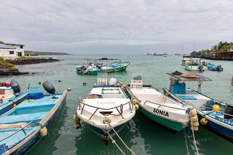 Harbour, Santa Cruz, Galapagos, Ecuador
