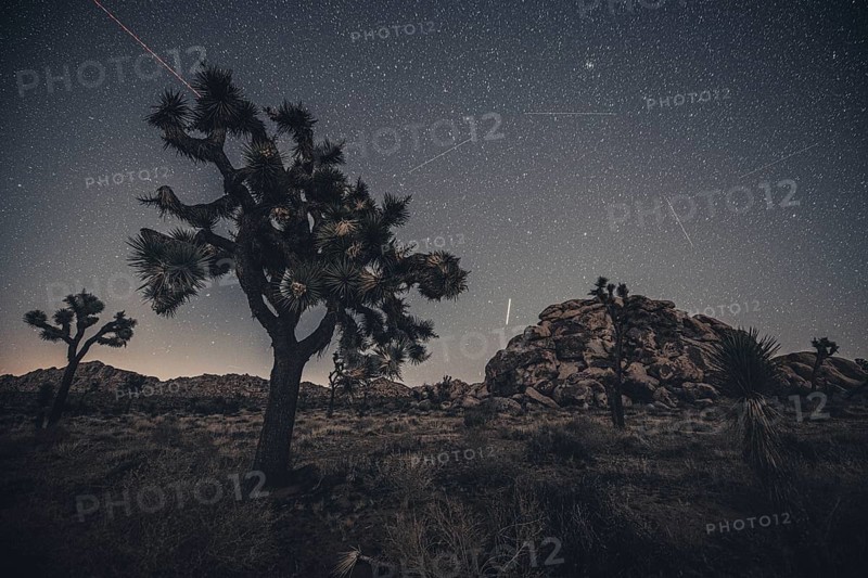 Starry sky in Joshua Tree National Park