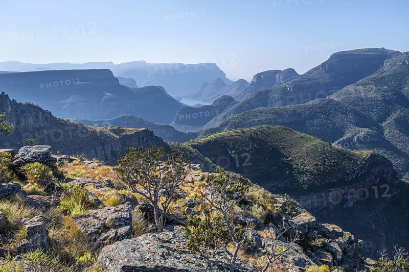 View of the Blyde River gorge, Lowveld Viewpoint, in the evening light, canyon landscape, Blyde River Canyon, Panorama Route, Mpumalanga, South Africa