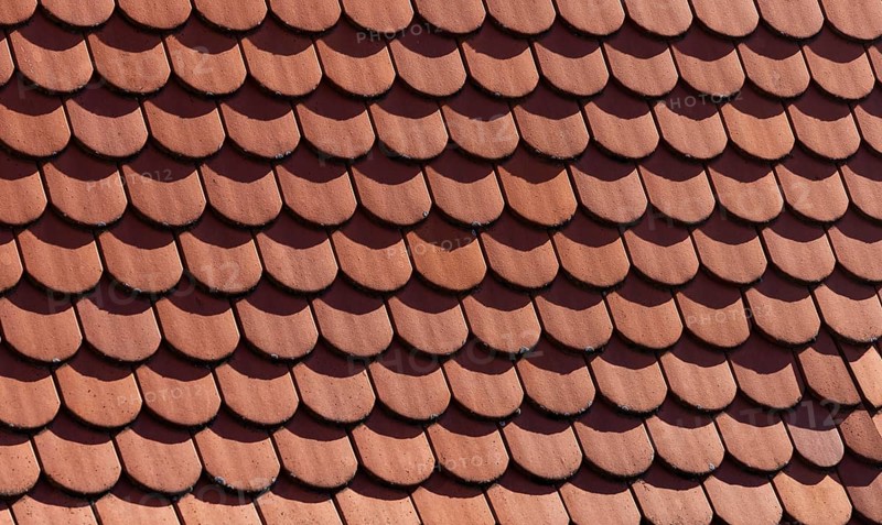 Red shingle roof, house roof, detail, Steyr, Upper Austria, Austria
