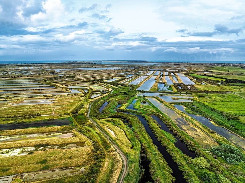 The Lilleau des Niges National Nature Reserve from a drone, The salt marshes, Saint-Clement-des-Baleines, Atlantic, France