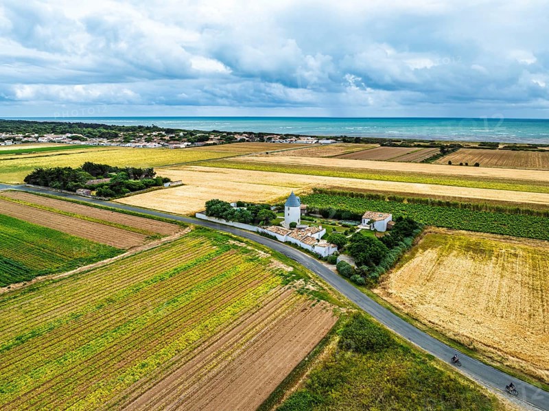 Fields and Grape plantations from a drone, Saint-Clement-des-Baleines, Atlantic, France