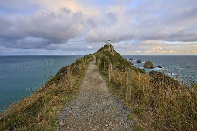 A path leads to a lighthouse on a rocky cliff by the sea, summer, Nugget Point Lighthouse, Ahuriri Flat, Otago, South Island, New Zealand