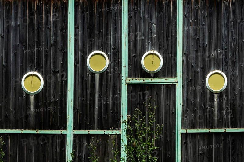 Wooden wall with dark finish showcases four circular cutouts revealing bright yellow interiors, complemented by green foliage at the base in an urban environment. France