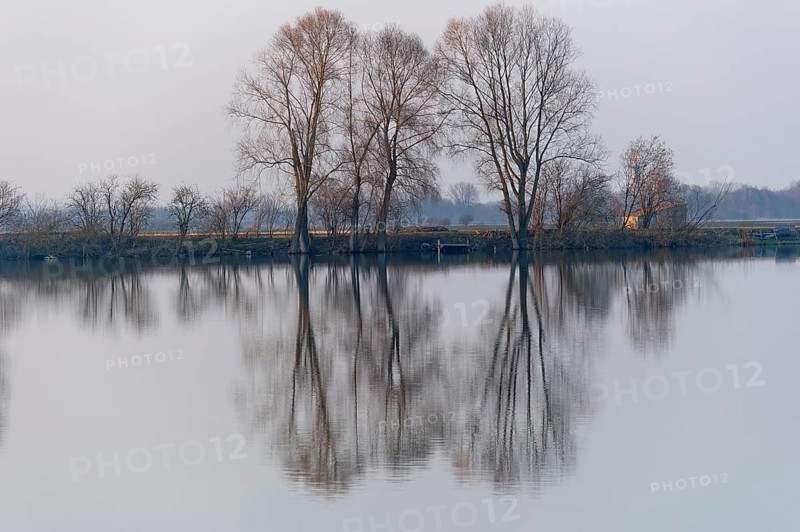 Evening mood at Moosinninger Weiher, quarry pond, fishing pond for carp, reflection of the trees on the shore, smooth calm water, Moosinning in Erdinger moss, Erding, Upper Bavaria, Bavaria, Germany