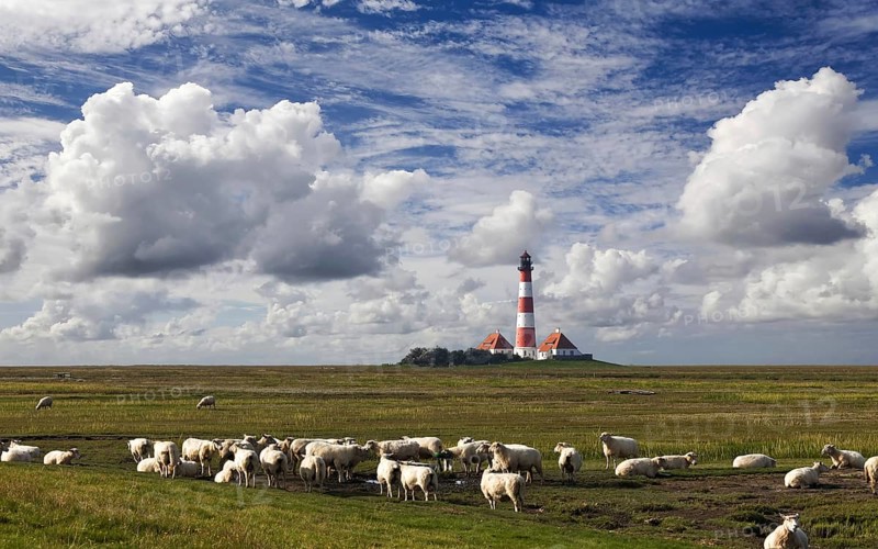 Lighthouse of Westerhever with sheep North Sea Germany