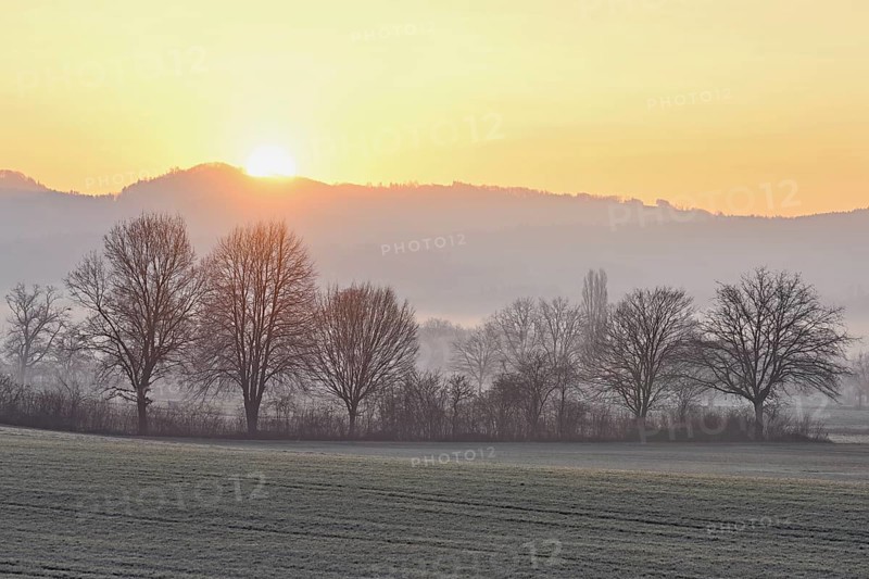 Meadows and trees in the early morning mist in the light of the rising sun, Reusstal, Aristau, Freiamt, Canton Aargau, Switzerland