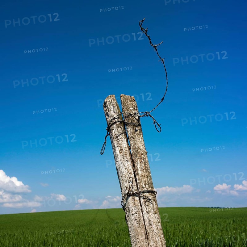 Two weathered wooden posts are tied together with twisted wire, standing tall against a vivid blue sky and expansive green field, capturing a serene rural landscape in daylight